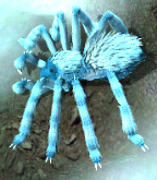 Frost spiderkr.png