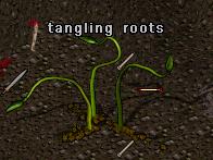 Tangling roots.jpg