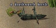Deathwatch beetle.jpg