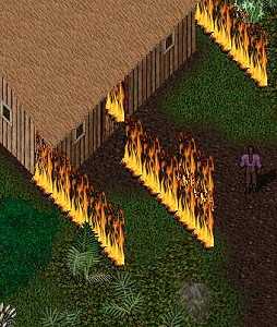 BNN Buccaneer's Den Plagued by Strange Fires - Picture 3.jpg