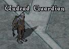 Undead guardian.jpg