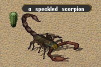 Speckled scorpion.gif