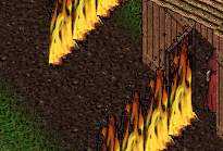 BNN Buccaneer's Den Plagued by Strange Fires - Picture 1.jpg