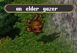 Elder gazer.jpg