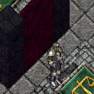 BNN Farewell to the King - Picture 1.jpg