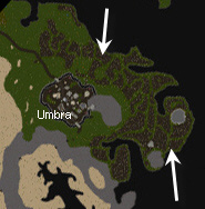 Corrupted forest map.jpg