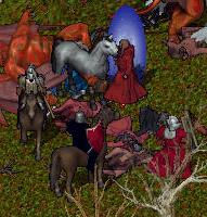 BNN Mad Mage Attack Near Yew Crypts and Village of TUR! - Picture 3.jpg