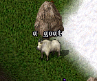 Goat.png