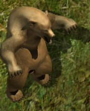 Grizzly bearkr.png