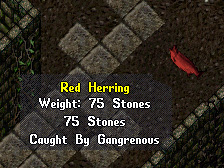 Red-herring.jpg