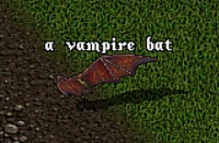 VampireBat.jpg