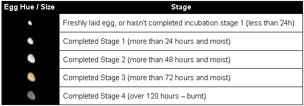 Egg stages chart.jpg