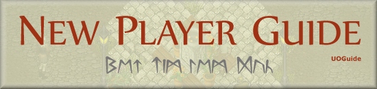 Play guide banner.jpg