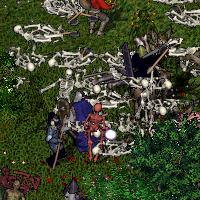 BNN The Undead Arise Near Cove - Picture 1.jpg