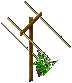 Grapevines east 3png