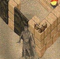 BNN Strange Ruins Spotted in the Lost Lands - Picture 1.jpg