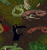 BNN Snake Shipment Slithers Away! - Picture 1.jpg