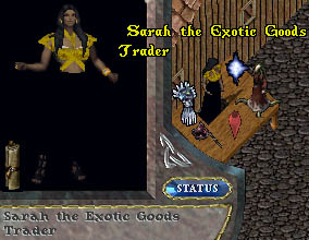 Sarah the exotic goods trader.jpg