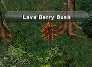 Lava-berry-bush.png