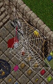 Giant spiderweb.jpg