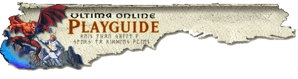 Play guide banner.png
