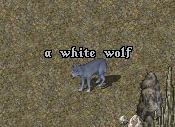 White Wolf.png