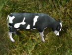 Cowkr.png