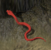 Lava snakekr.jpg