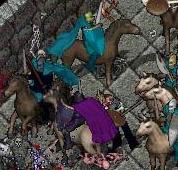 File:BNN Into the Crypt - Picture 3 (Small).jpg