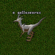 Gallusaurus.png