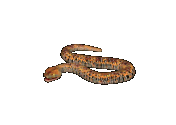 Giant Serpent.png