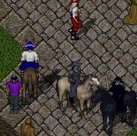 BNN Foliaged Again! - Picture 1.jpg