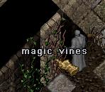 Magic vines.jpg