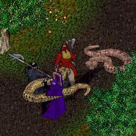 BNN Snake Shipment Slithers Away! - Picture 2.jpg
