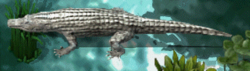 Alligatorkr.png
