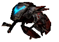 Rune beetle.gif