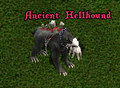 Ancient hellhound.png