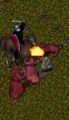 BNN Mad Mage Attack Near Yew Crypts and Village of TUR! - Picture 1.jpg