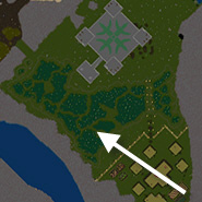 Central-ilsh-swamp map.jpg
