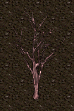 Cherry blossom trunk.png