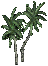 Small Palm.png