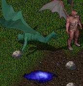 BNN Odd Jungle Plants Examined - Picture 1.jpg