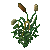 Cattails.png