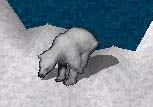 BNN The Great White Bear Lord of the Ice - Picture 2.jpg