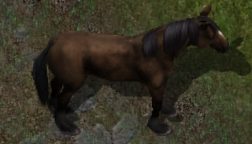 Horse2kr.png