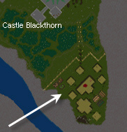 Savage village map.jpg