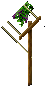 Grapevines east 5.png