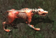 Hell houndkr.png