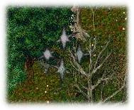 BNN The Brothers Escape - Picture 3.jpg