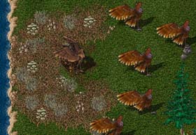 BNN The Harpy Hen - Picture 1.jpg